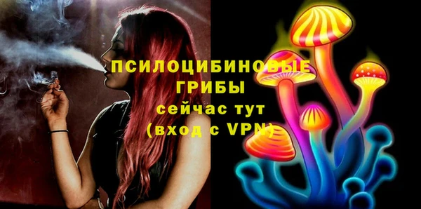 метадон Арсеньев